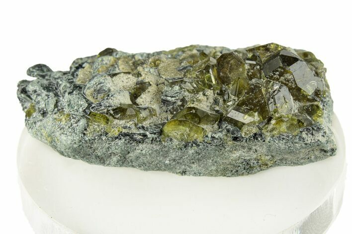 Gemmy Diopside with Chlinochlore - Afghanistan #255786